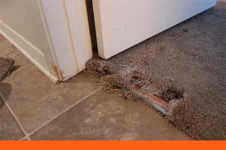 carpet repair service