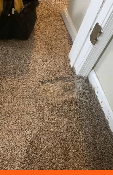 carpet repair canberra